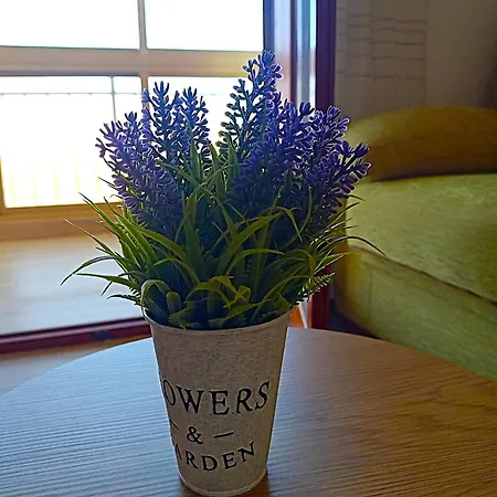 Apartamento Rocio Del Mar Torrevieja